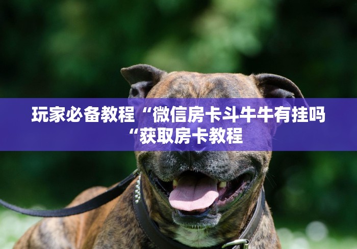 玩家必备教程“微信房卡斗牛牛有挂吗“获取房卡教程