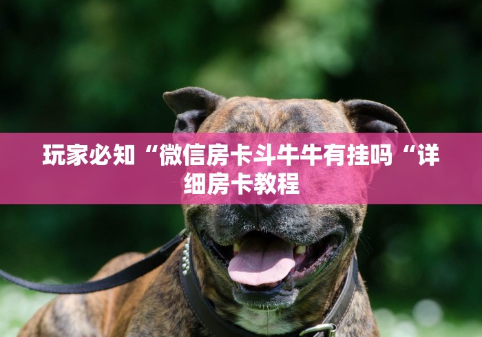 玩家必知“微信房卡斗牛牛有挂吗“详细房卡教程