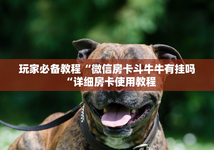 玩家必备教程“微信房卡斗牛牛有挂吗“详细房卡使用教程