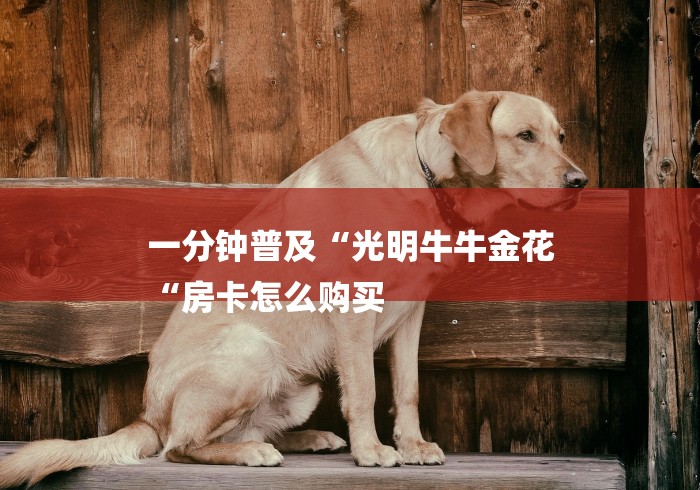 一分钟普及“光明牛牛金花
“房卡怎么购买