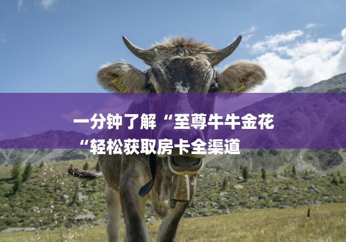 一分钟了解“至尊牛牛金花
“轻松获取房卡全渠道