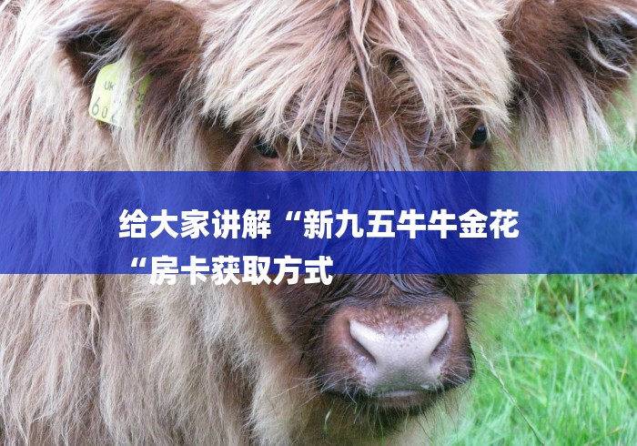 给大家讲解“新九五牛牛金花
“房卡获取方式 给大家讲解“新九五牛牛金花
“房卡获取方式