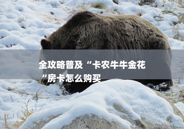 全攻略普及“卡农牛牛金花
“房卡怎么购买