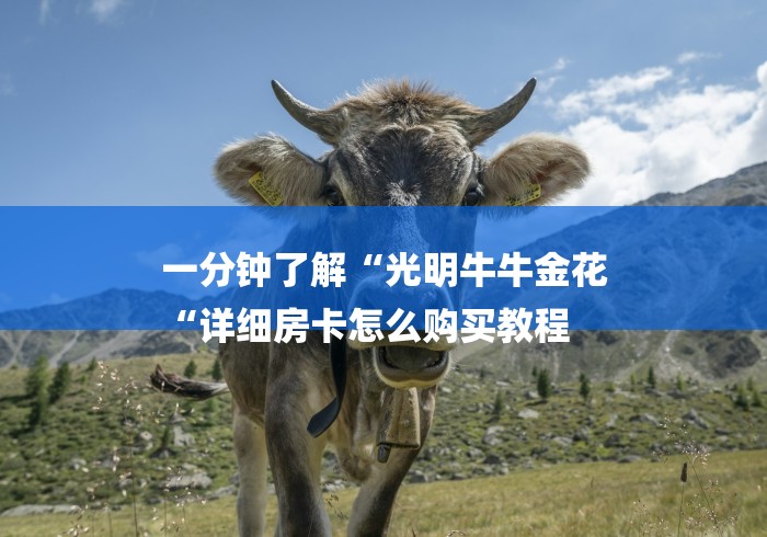 一分钟了解“光明牛牛金花
“详细房卡怎么购买教程