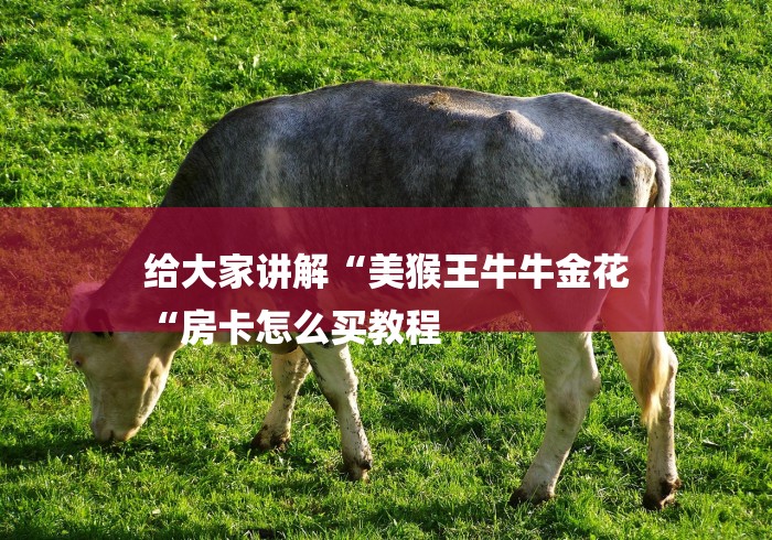 给大家讲解“美猴王牛牛金花
“房卡怎么买教程