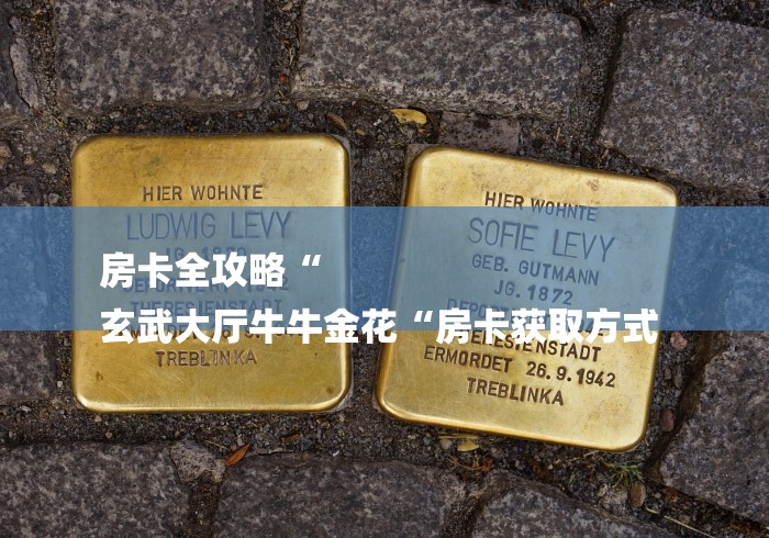 房卡全攻略“
玄武大厅牛牛金花“房卡获取方式 