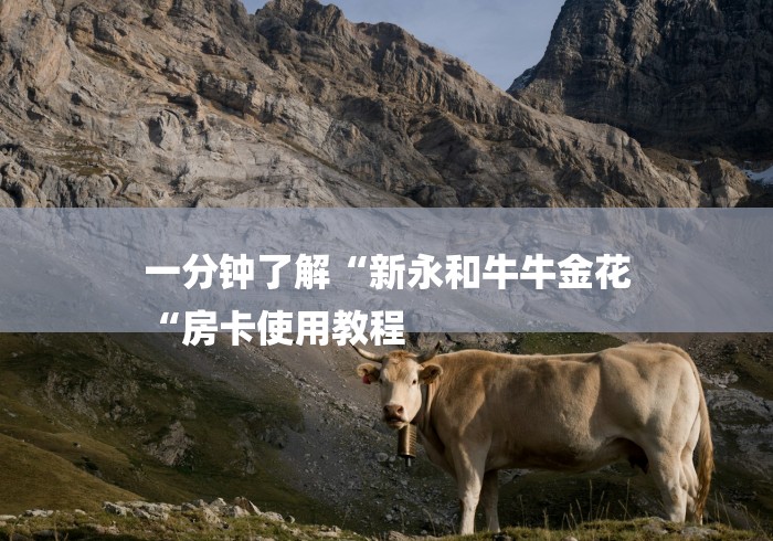一分钟了解“新永和牛牛金花
“房卡使用教程