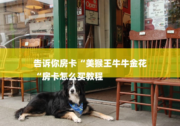 告诉你房卡“美猴王牛牛金花
“房卡怎么买教程