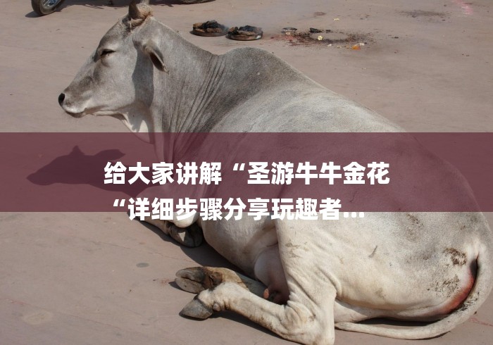 给大家讲解“圣游牛牛金花
“详细步骤分享玩趣者... 给大家讲解“圣游牛牛金花
“详细步骤分享玩趣者...