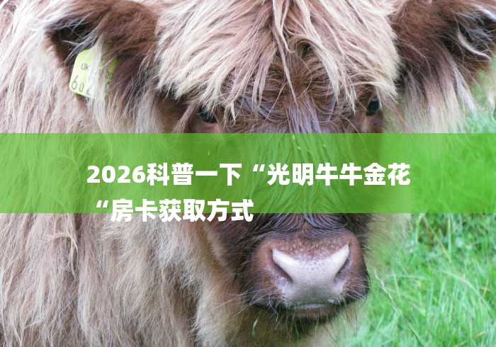 2026科普一下“光明牛牛金花
“房卡获取方式 2026科普一下“光明牛牛金花
“房卡获取方式