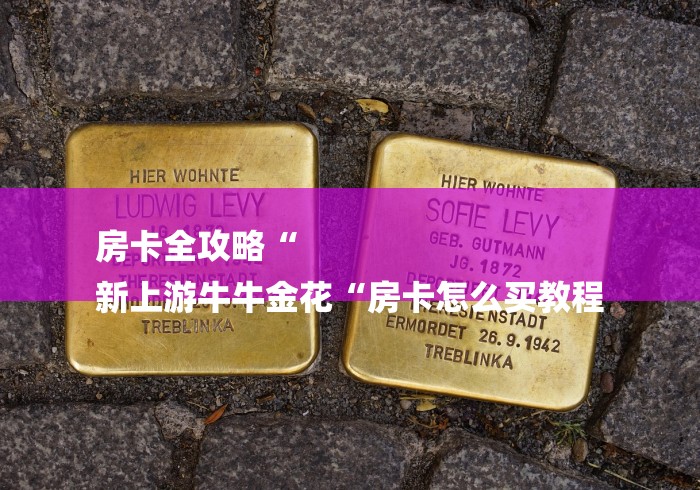 房卡全攻略“
新上游牛牛金花“房卡怎么买教程