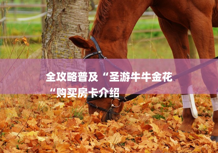 全攻略普及“圣游牛牛金花
“购买房卡介绍 全攻略普及“圣游牛牛金花
“购买房卡介绍