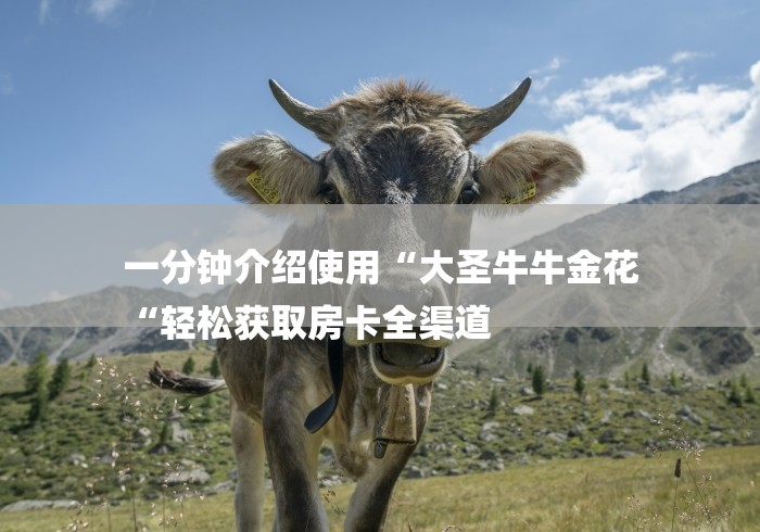 一分钟介绍使用“大圣牛牛金花
“轻松获取房卡全渠道 一分钟介绍使用“大圣牛牛金花
“轻松获取房卡全渠道