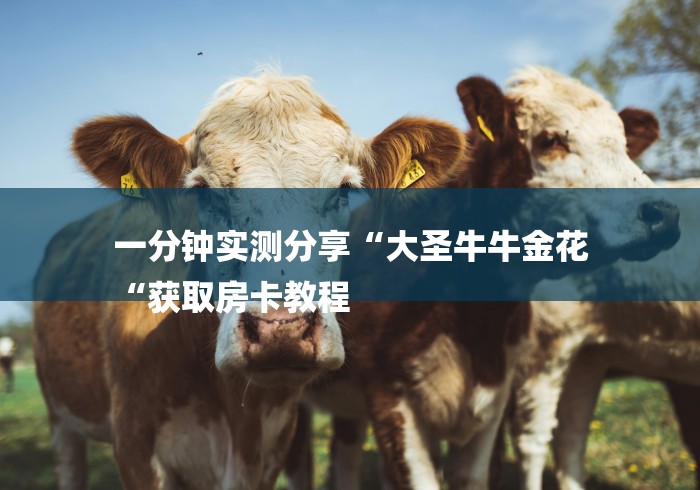 一分钟实测分享“大圣牛牛金花
“获取房卡教程