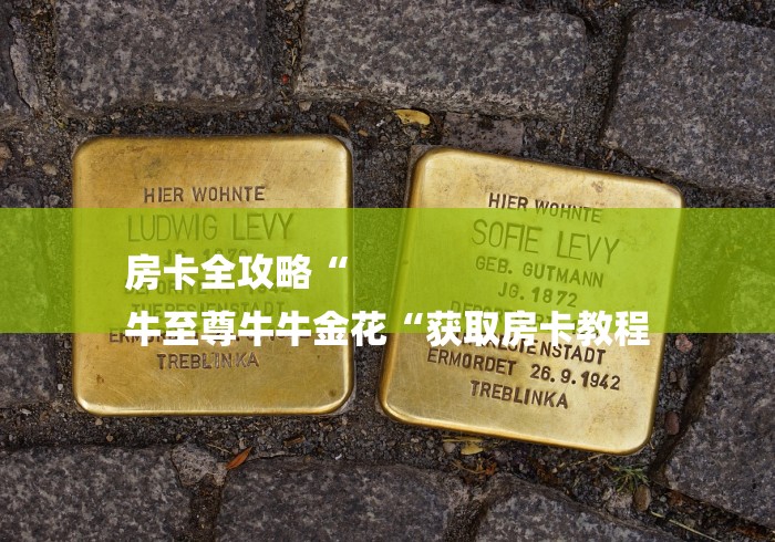 房卡全攻略“
牛至尊牛牛金花“获取房卡教程