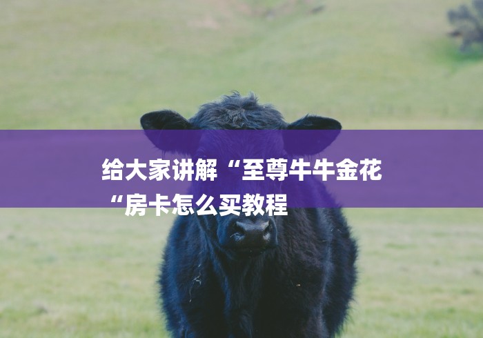 给大家讲解“至尊牛牛金花
“房卡怎么买教程 给大家讲解“至尊牛牛金花
“房卡怎么买教程