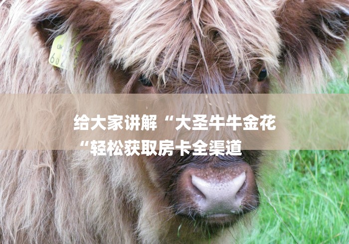 给大家讲解“大圣牛牛金花
“轻松获取房卡全渠道