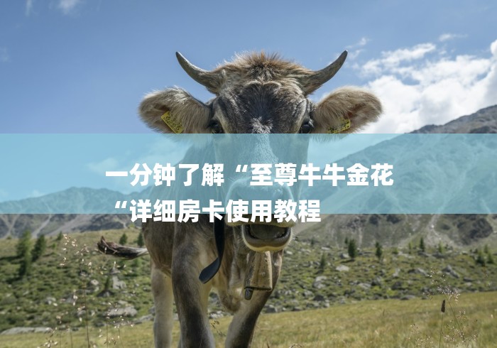 一分钟了解“至尊牛牛金花
“详细房卡使用教程