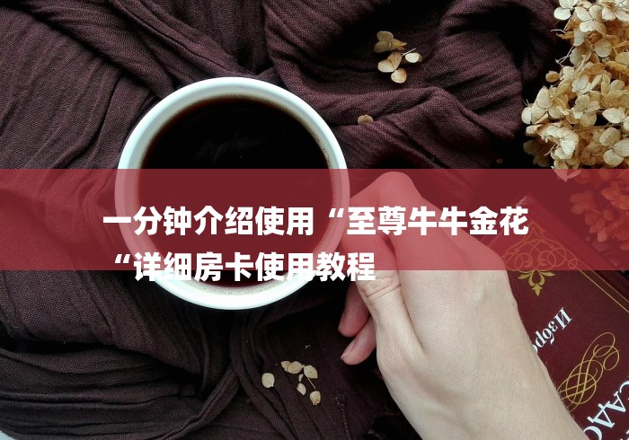 一分钟介绍使用“至尊牛牛金花
“详细房卡使用教程