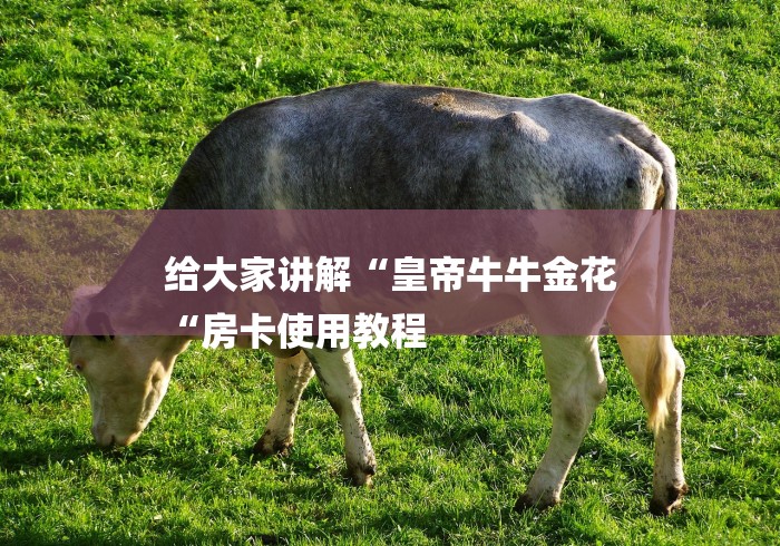 给大家讲解“皇帝牛牛金花
“房卡使用教程