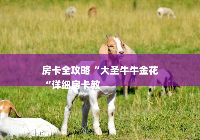 房卡全攻略“大圣牛牛金花
“详细房卡教