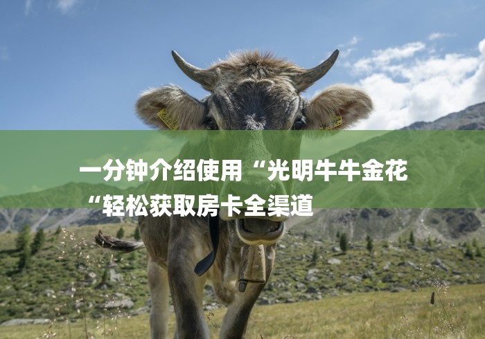 一分钟介绍使用“光明牛牛金花
“轻松获取房卡全渠道 一分钟介绍使用“光明牛牛金花
“轻松获取房卡全渠道