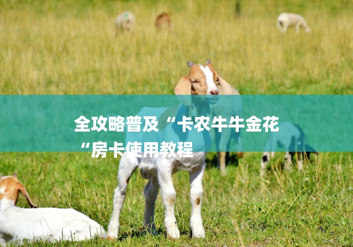 全攻略普及“卡农牛牛金花
“房卡使用教程 全攻略普及“卡农牛牛金花
“房卡使用教程