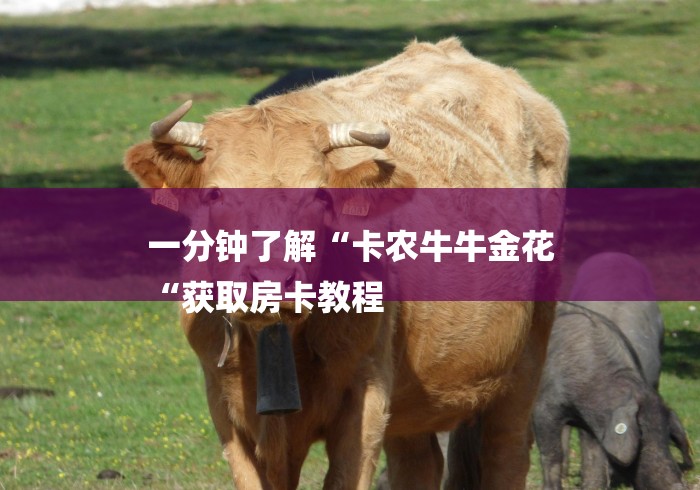 一分钟了解“卡农牛牛金花
“获取房卡教程 一分钟了解“卡农牛牛金花
“获取房卡教程