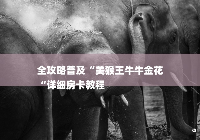 全攻略普及“美猴王牛牛金花
“详细房卡教程 全攻略普及“美猴王牛牛金花
“详细房卡教程