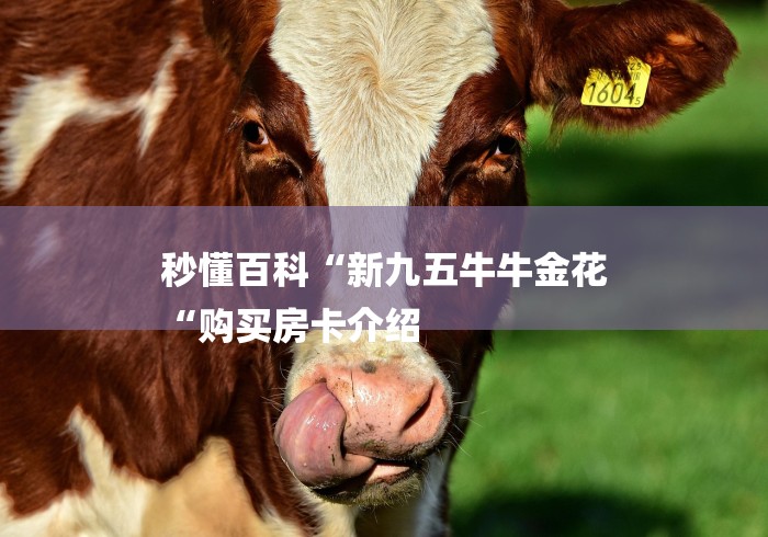 秒懂百科“新九五牛牛金花
“购买房卡介绍 秒懂百科“新九五牛牛金花
“购买房卡介绍