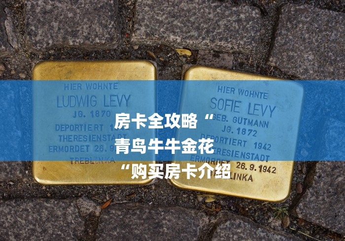 房卡全攻略“
青鸟牛牛金花
“购买房卡介绍 房卡全攻略“
青鸟牛牛金花
“购买房卡介绍