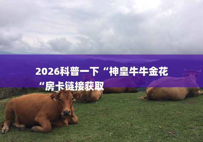 2026科普一下“神皇牛牛金花
“房卡链接获取