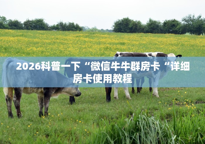 2026科普一下“微信牛牛群房卡“详细房卡使用教程