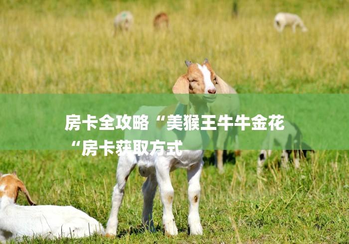 房卡全攻略“美猴王牛牛金花
“房卡获取方式 房卡全攻略“美猴王牛牛金花
“房卡获取方式