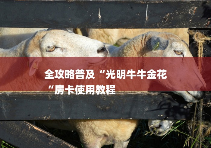 全攻略普及“光明牛牛金花
“房卡使用教程