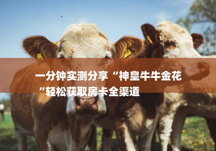 一分钟实测分享“神皇牛牛金花
“轻松获取房卡全渠道 一分钟实测分享“神皇牛牛金花
“轻松获取房卡全渠道