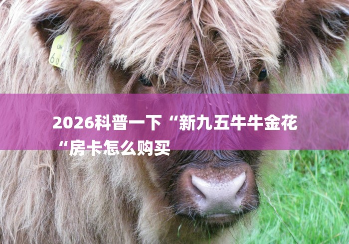 2026科普一下“新九五牛牛金花
“房卡怎么购买 2026科普一下“新九五牛牛金花
“房卡怎么购买