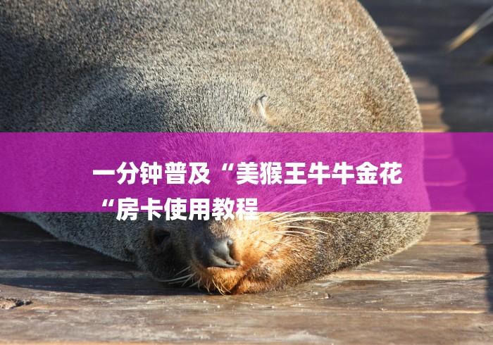 一分钟普及“美猴王牛牛金花
“房卡使用教程