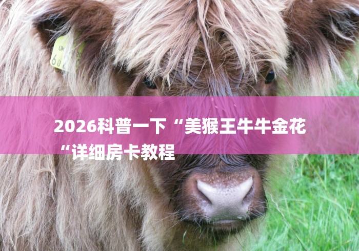 2026科普一下“美猴王牛牛金花
“详细房卡教程