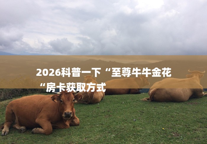 2026科普一下“至尊牛牛金花
“房卡获取方式 