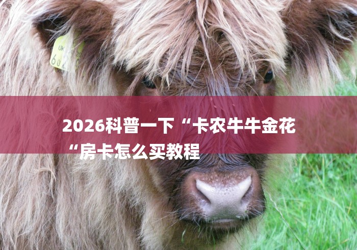 2026科普一下“卡农牛牛金花
“房卡怎么买教程