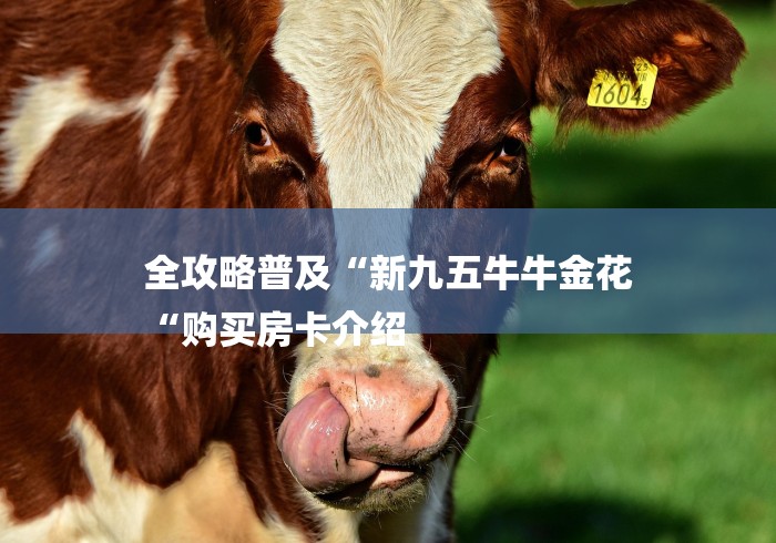 全攻略普及“新九五牛牛金花
“购买房卡介绍 全攻略普及“新九五牛牛金花
“购买房卡介绍