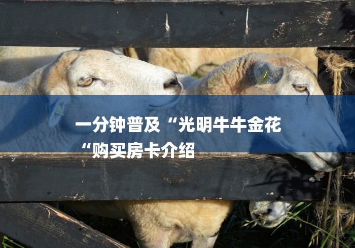 一分钟普及“光明牛牛金花
“购买房卡介绍 一分钟普及“光明牛牛金花
“购买房卡介绍