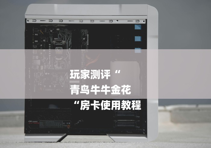 玩家测评“
青鸟牛牛金花
“房卡使用教程