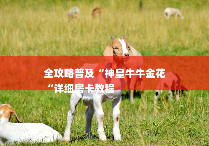 全攻略普及“神皇牛牛金花
“详细房卡教程 全攻略普及“神皇牛牛金花
“详细房卡教程