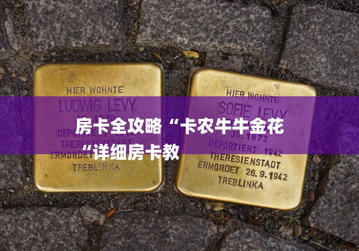 房卡全攻略“卡农牛牛金花
“详细房卡教