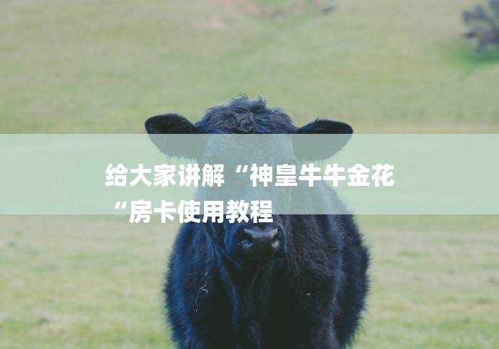 给大家讲解“神皇牛牛金花
“房卡使用教程 给大家讲解“神皇牛牛金花
“房卡使用教程