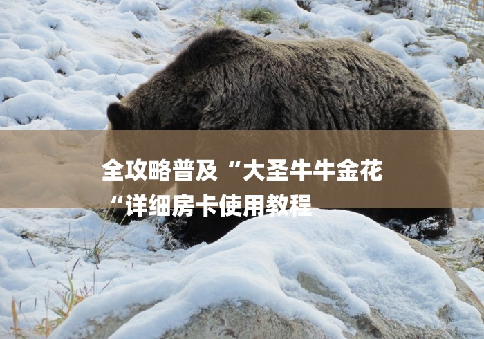 全攻略普及“大圣牛牛金花
“详细房卡使用教程 全攻略普及“大圣牛牛金花
“详细房卡使用教程
