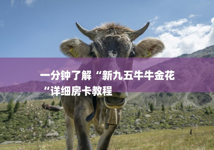 一分钟了解“新九五牛牛金花
“详细房卡教程