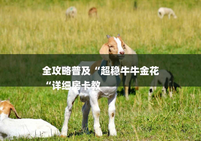 全攻略普及“超稳牛牛金花
“详细房卡教